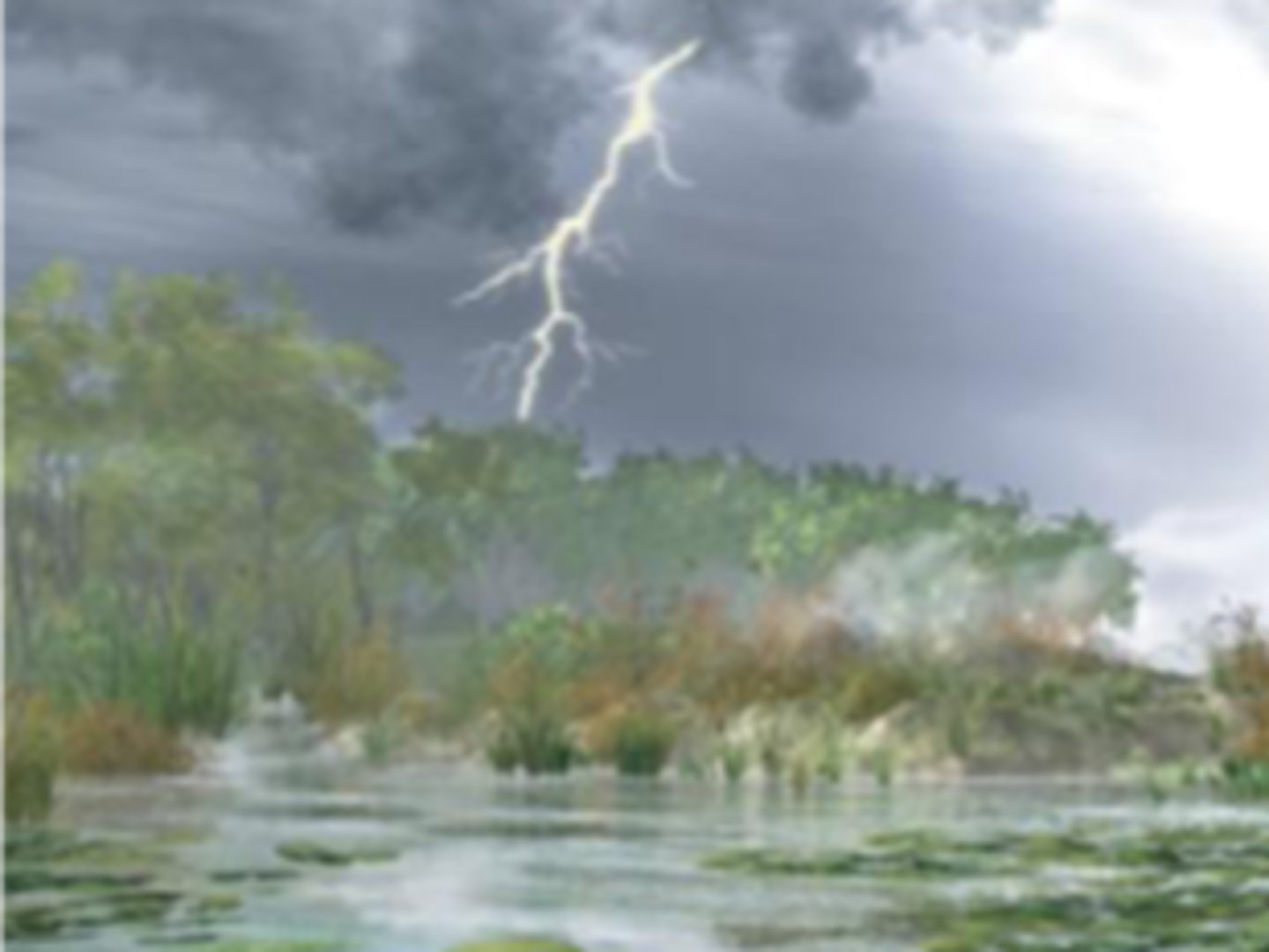 <p>One or more communities of living organisms interacting with their nonliving physical and chemical environments.</p>