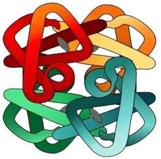 <p>the quaternary structure of a protein arises when two or more polypeptides become held together, forming a complex, biologically active molecule. (e.g. haemoglobin: consists of four polypeptide chains — two α-chains and two β-chains)</p>