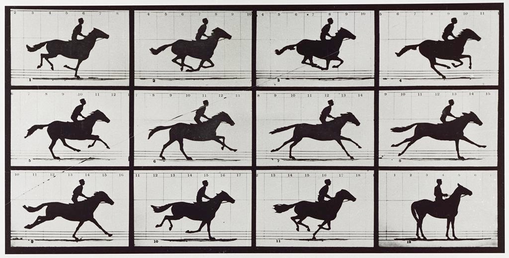 <p>Who made photographic studies of motion (horse galloping)</p>