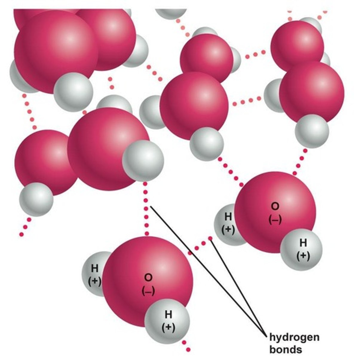 <p>A bond formed by the charge attraction between a hydrogen atom covalently bonded to one atom and attracted to a second atom</p>