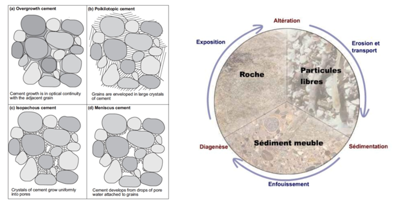 <p>Déposition <span><span>à</span></span> compaction (+ pression) <span><span>à</span></span> <span><span>&nbsp;</span></span>précipitation de ciment carbonaté (différent de la matrice ! voir comme une colle) <span><span>à</span></span> <span><span>&nbsp;</span></span>roche sédimentaire</p>