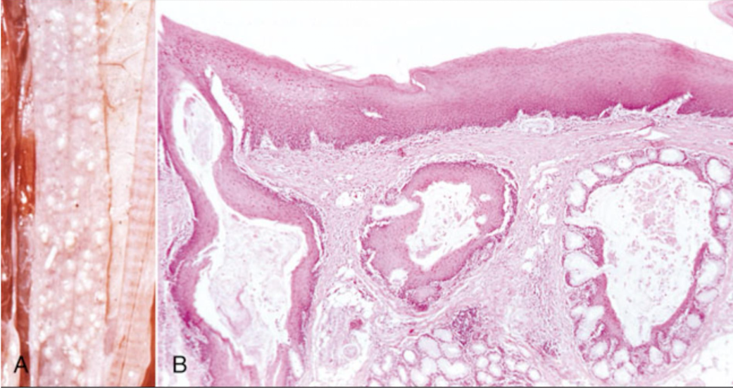 <p>What is this an example of?</p>