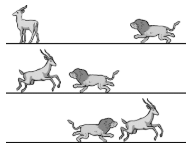 <p><span><span>A lion is running at constant speed toward a gazelle that is standing still, as shown in the top figure above. After several seconds, the gazelle notices the lion and accelerates directly toward him, hoping to pass the lion and force him to reverse direction. As the gazelle accelerates toward and past the lion, the lion changes direction and accelerates in pursuit of the gazelle. The lion and the gazelle eventually each reach constant but different speeds. Which of the following sets of graphs shows a reasonable representation of the velocities of the lion and the gazelle as functions of time?</span></span></p>