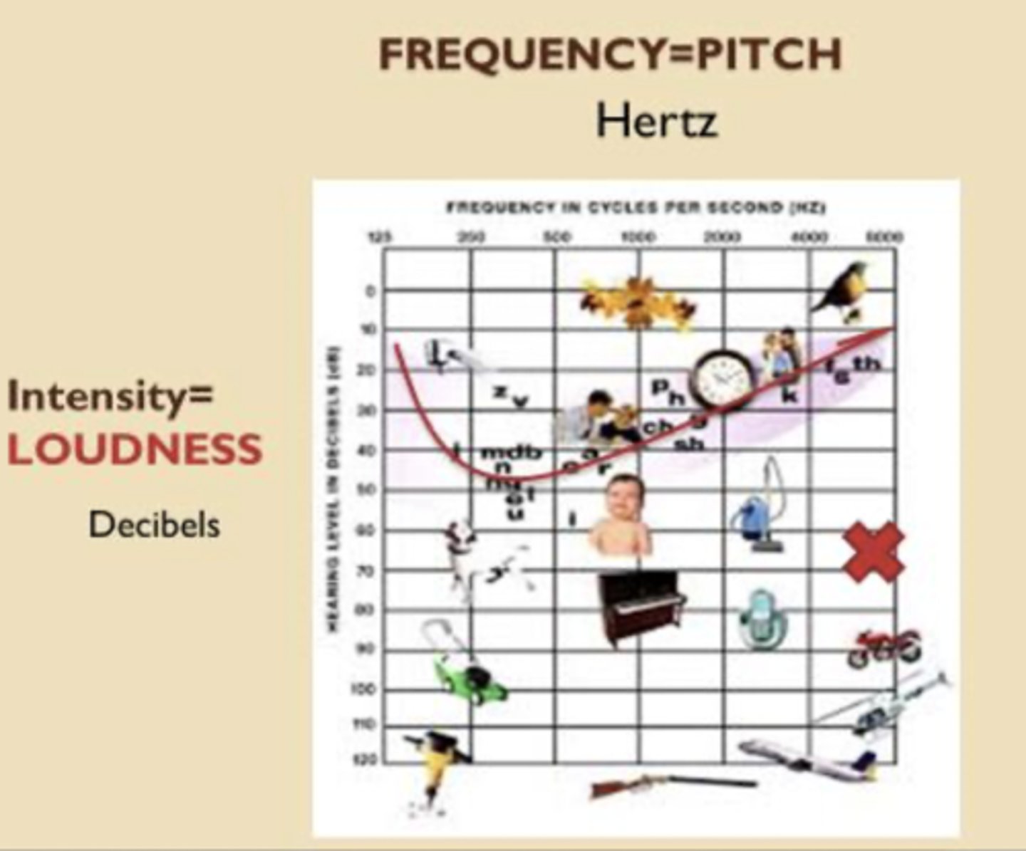<p>Intensity = loudness</p><p>Frequency = pitch</p><p>- X = dental equipment</p>