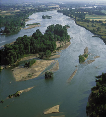 <p><strong>river</strong></p>