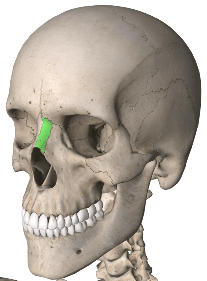 term image