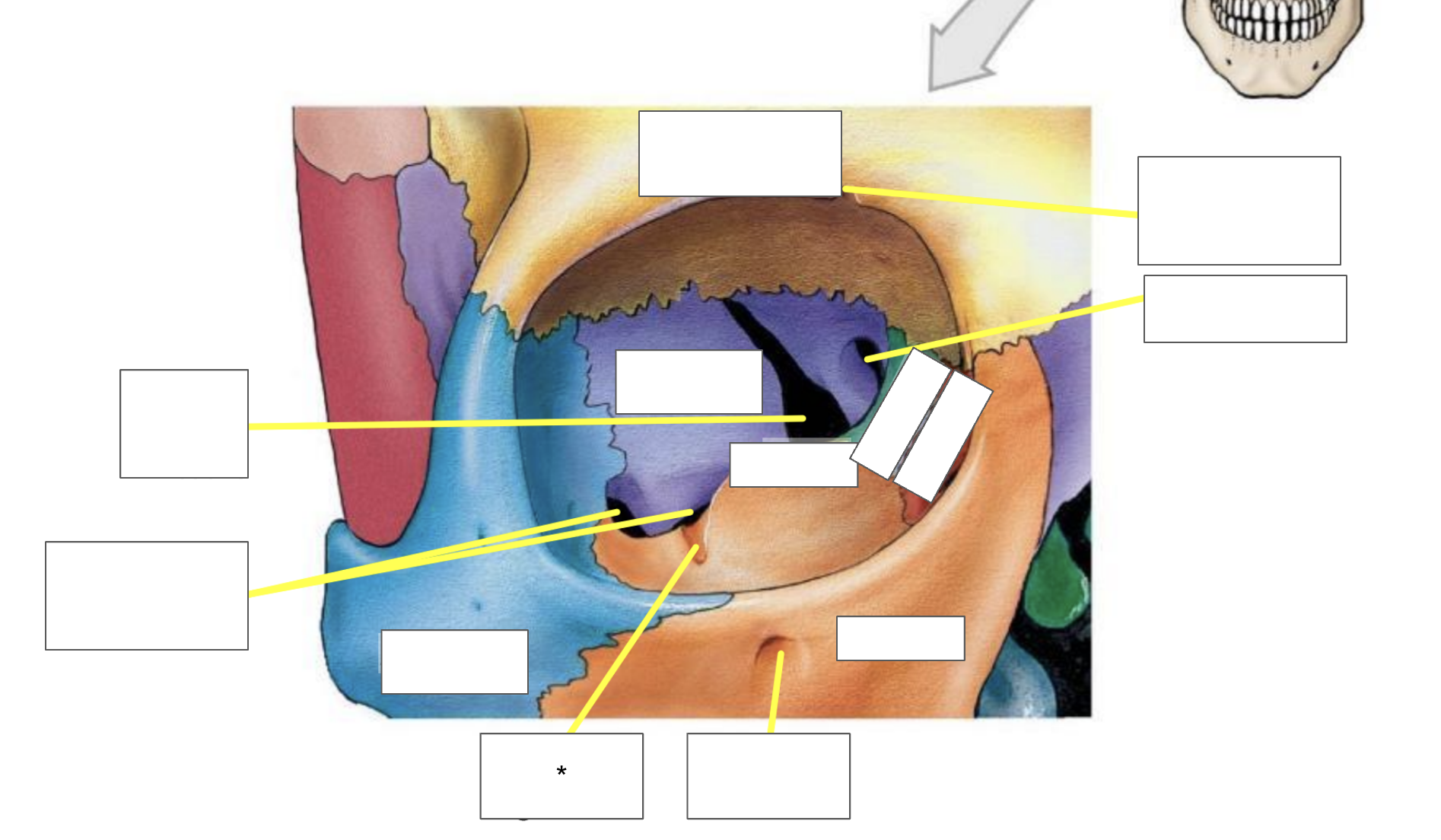 term image