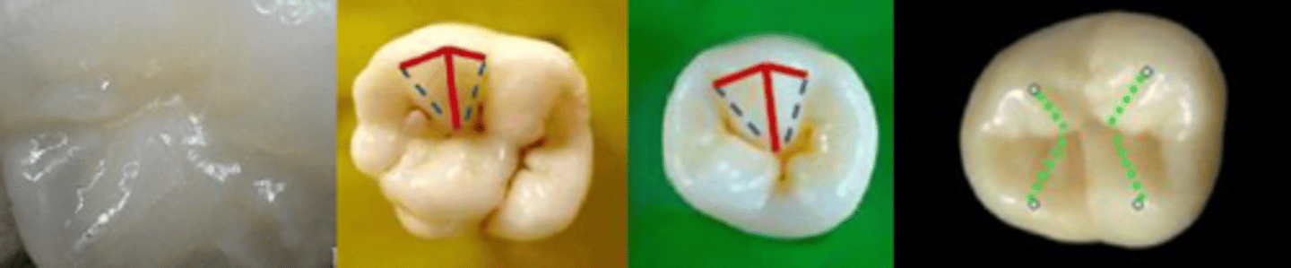 <p>what is this?</p>