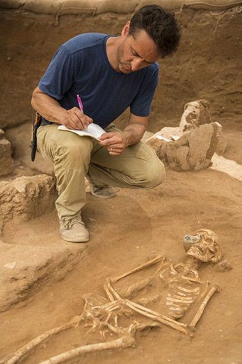 <p>Professionals who excavate sites where ancient societies once lived.</p>