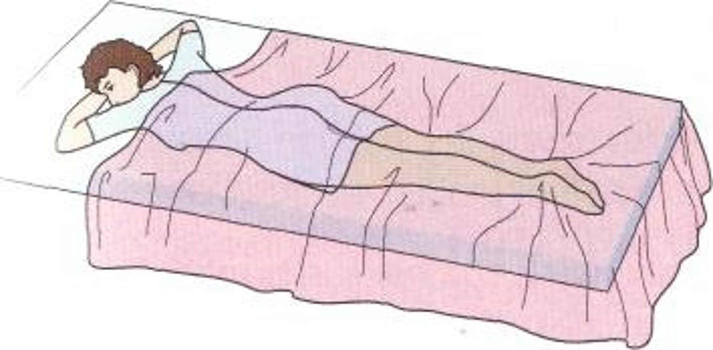 <p>Anatomical position laying face down</p>