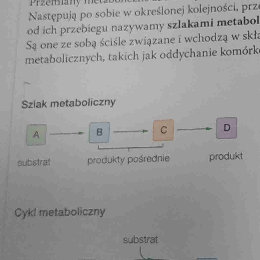 <ul><li><p>Przebiegają w jednym kierunku</p></li><li><p>Rozkład glukozy lub synteza białka</p></li></ul>