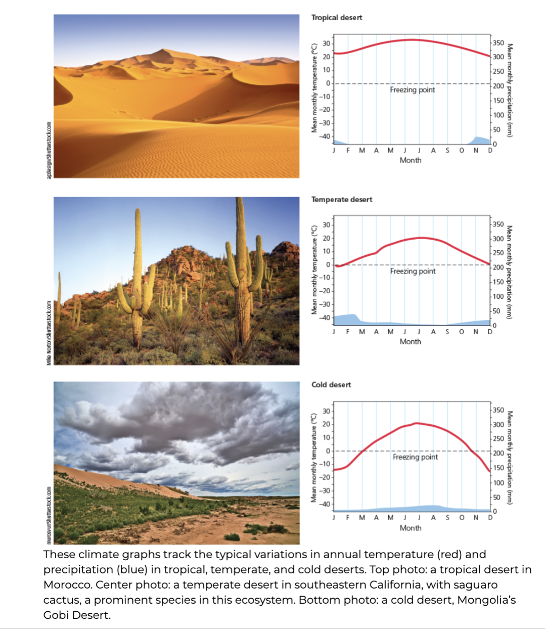 <p><span><strong>Deserts</strong></span></p>