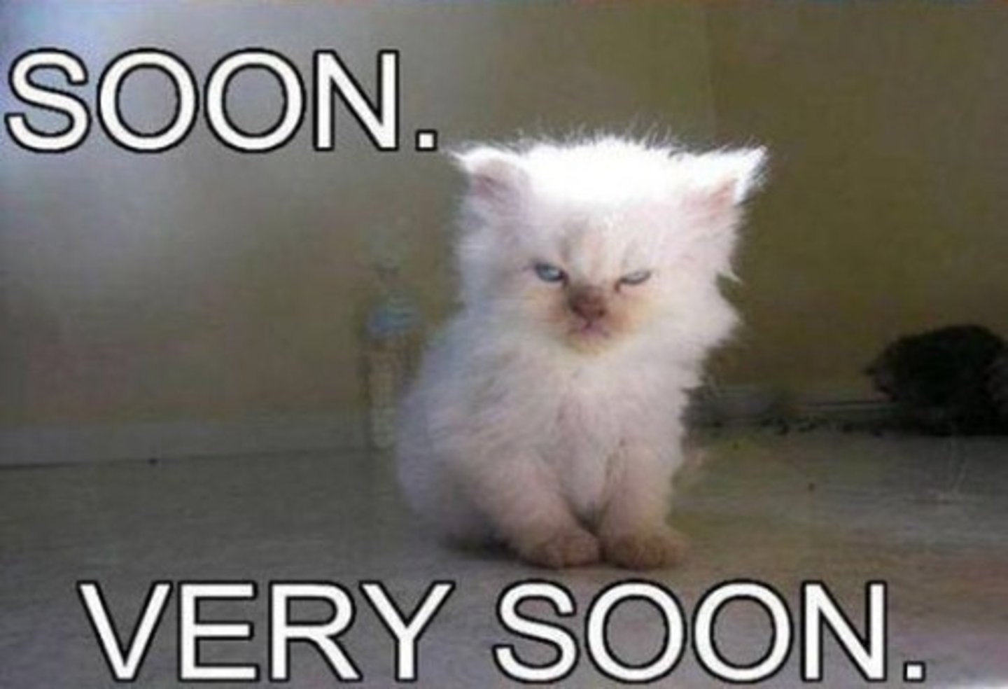 <p>soon</p>
