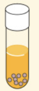 <p><span>organisms that grow only in the absence of oxygen and, in fact, are often <u>inhibited or killed by its presence</u>.</span></p><p><span>-They obtain their energy through <strong>anaerobic respiration or fermentation</strong>.</span></p><p><span>*Lacks enzymes to neutralize harmful forms of oxygen<br></span><strong>Ex: Clostridium sporogenes</strong><span style="color: transparent">y th</span></p>