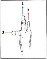 <p>Match the numbers to the axes when doing the “Right Hand Rule”.</p>