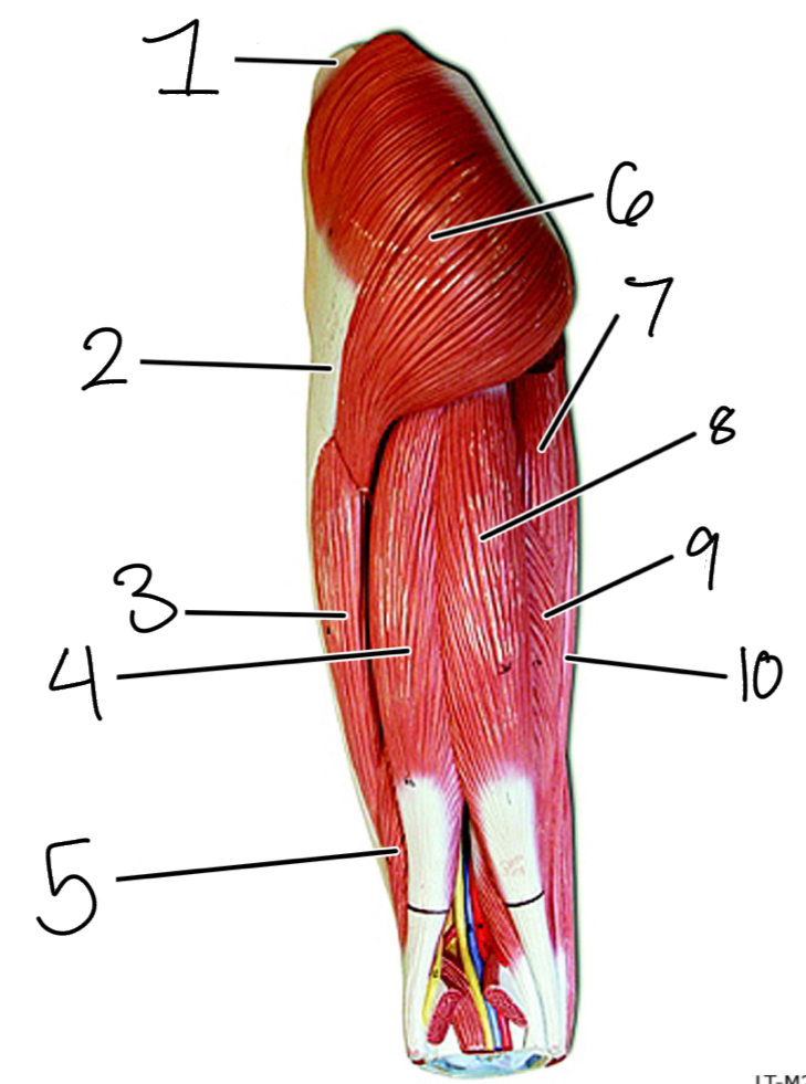 <p>3</p>