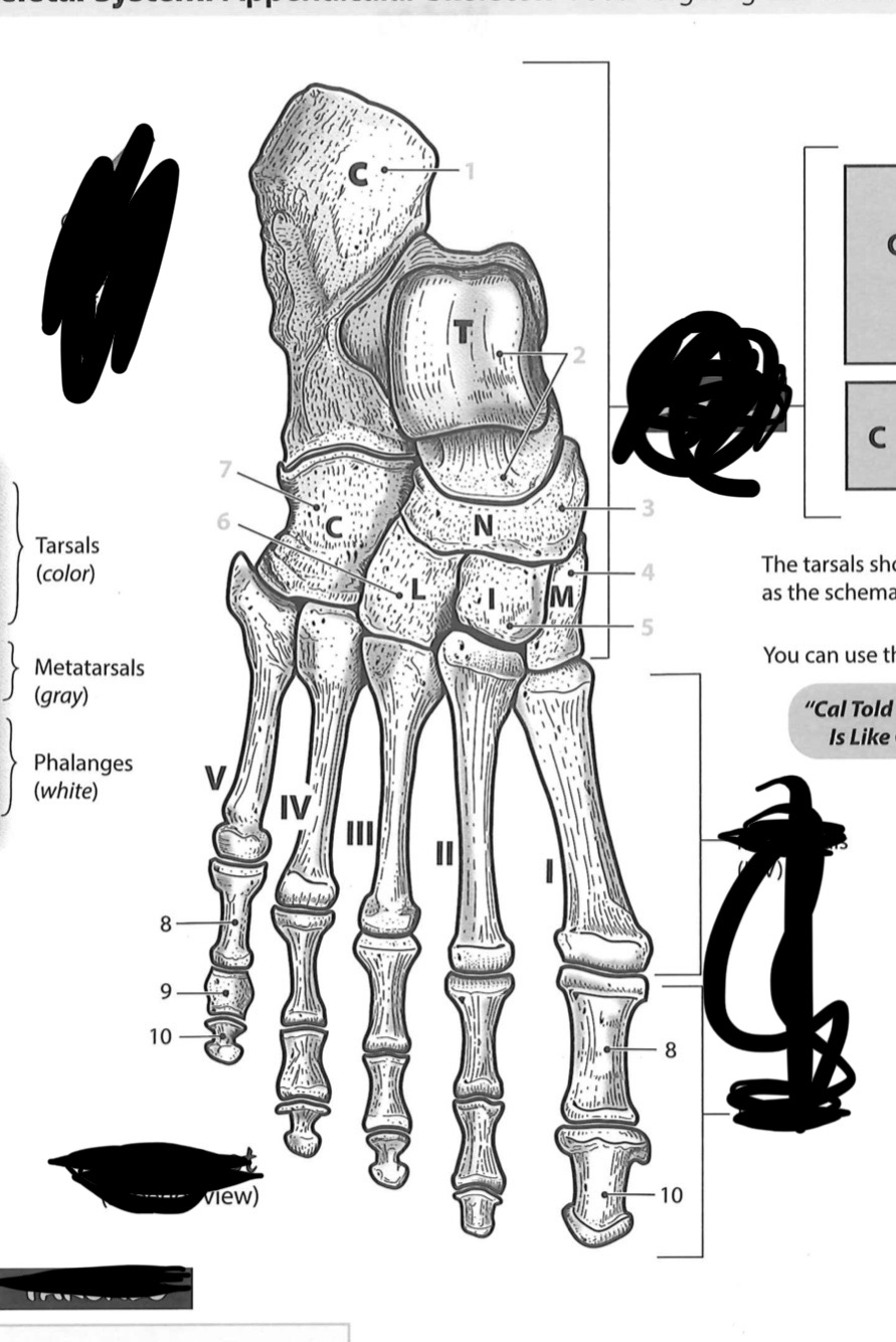 term image