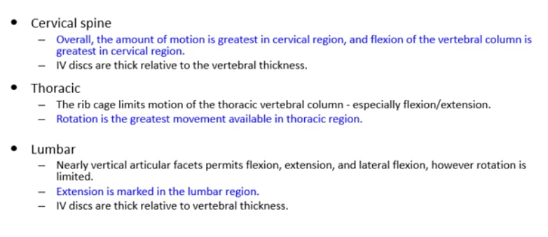 <p>*the shape and thickness of intervertebral discs in the cervical and lumbar region also contribute to the curvatures found in this region</p>