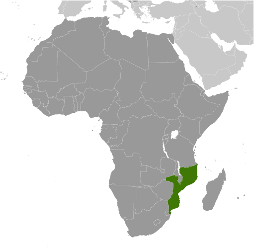 <p>Mozambik</p>