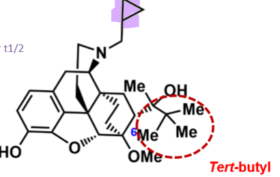 <ul><li><p>cyclopropane and tert-butyl increase lipophilicity </p><ul><li><p>very long in vivo half-life</p></li><li><p>more CNS and longer t ½ </p></li></ul></li><li><p>tert-butyl increases binding to mu receptor  </p></li></ul><p></p>