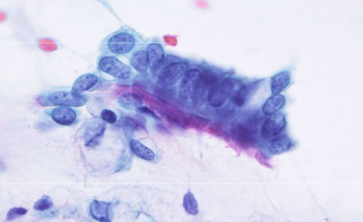 <p>describe features</p>