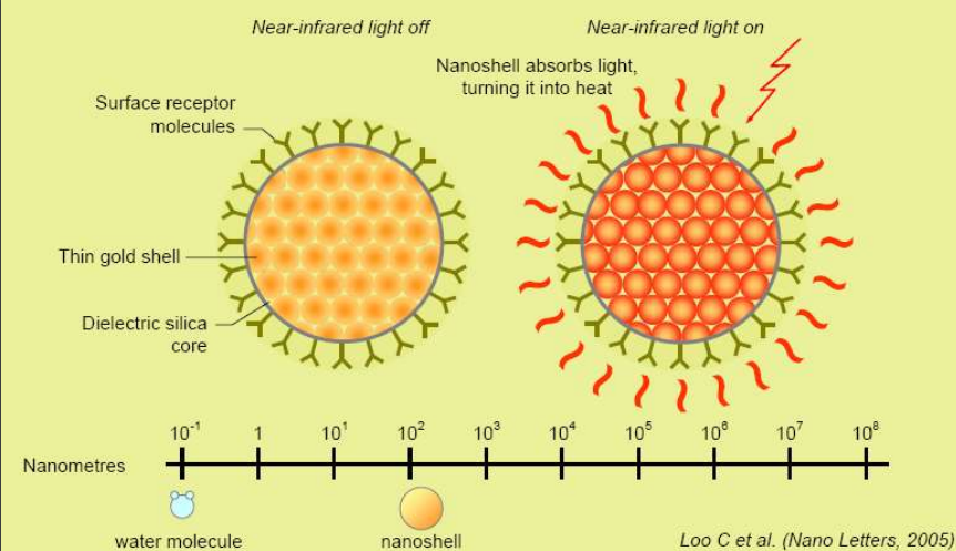 <ul><li><p>Nanoshells coated with receptor molecules bind to cancer cell receptors</p></li><li><p>Nanoshells are injected into the bloodstream</p></li><li><p>High-frequency infrared light (near IR) is shone through the skin</p></li><li><p>Nanoshells absorb IR and convert it to heat, raising the tumor cells' temperature by 10-20°C</p></li><li><p>The heat causes cancer cells to die</p></li></ul><p></p>