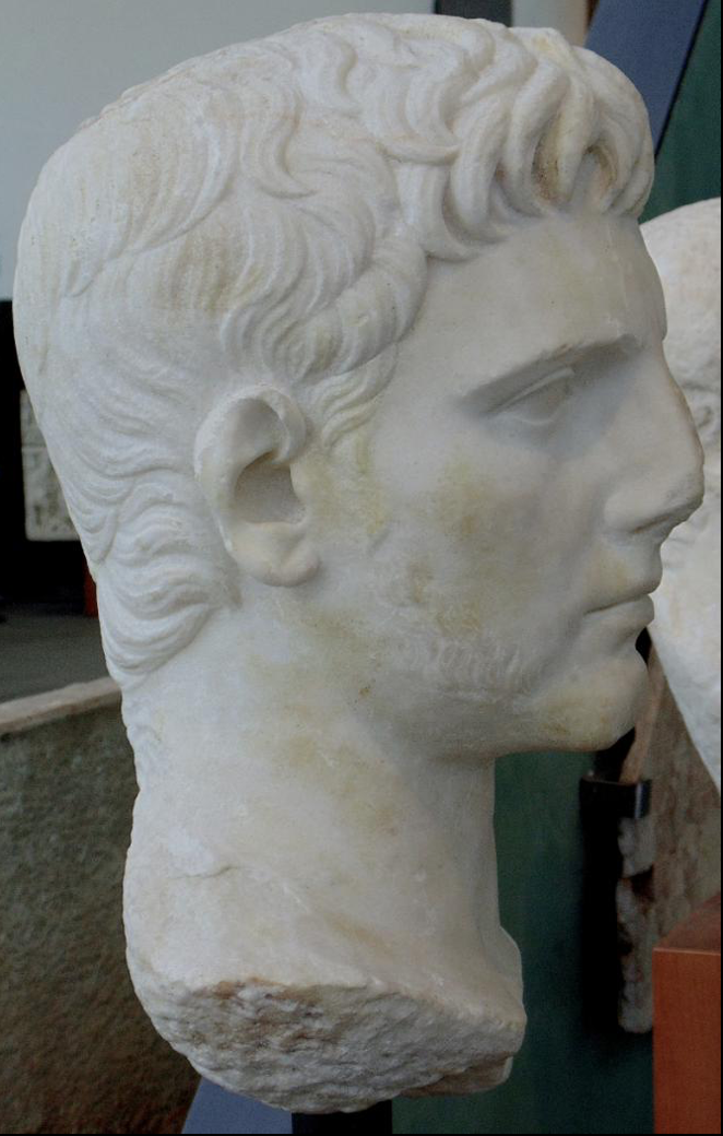 <p>Fig. 6-2A Bearded head of Octavian, from the cryptoporticus of the forum, Arles, France, ca. 37–31 BCE. Marble</p>