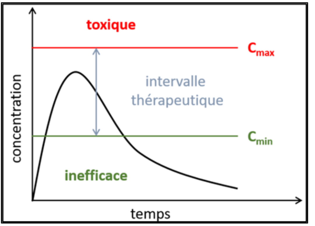 <p>La plage de concentrations plasmatiques dans laquelle un mĂ©dicament est efficace sans provoquer dâeffets indĂ©sirables, dĂ©finie par Cmin et Cmax</p>