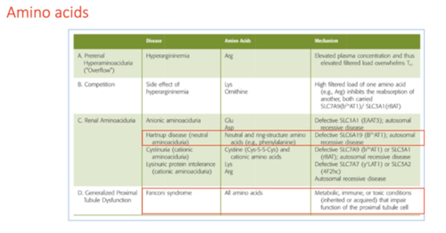 <p>Fanconi syndrome</p>
