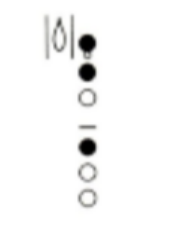 <p>Fingering</p>