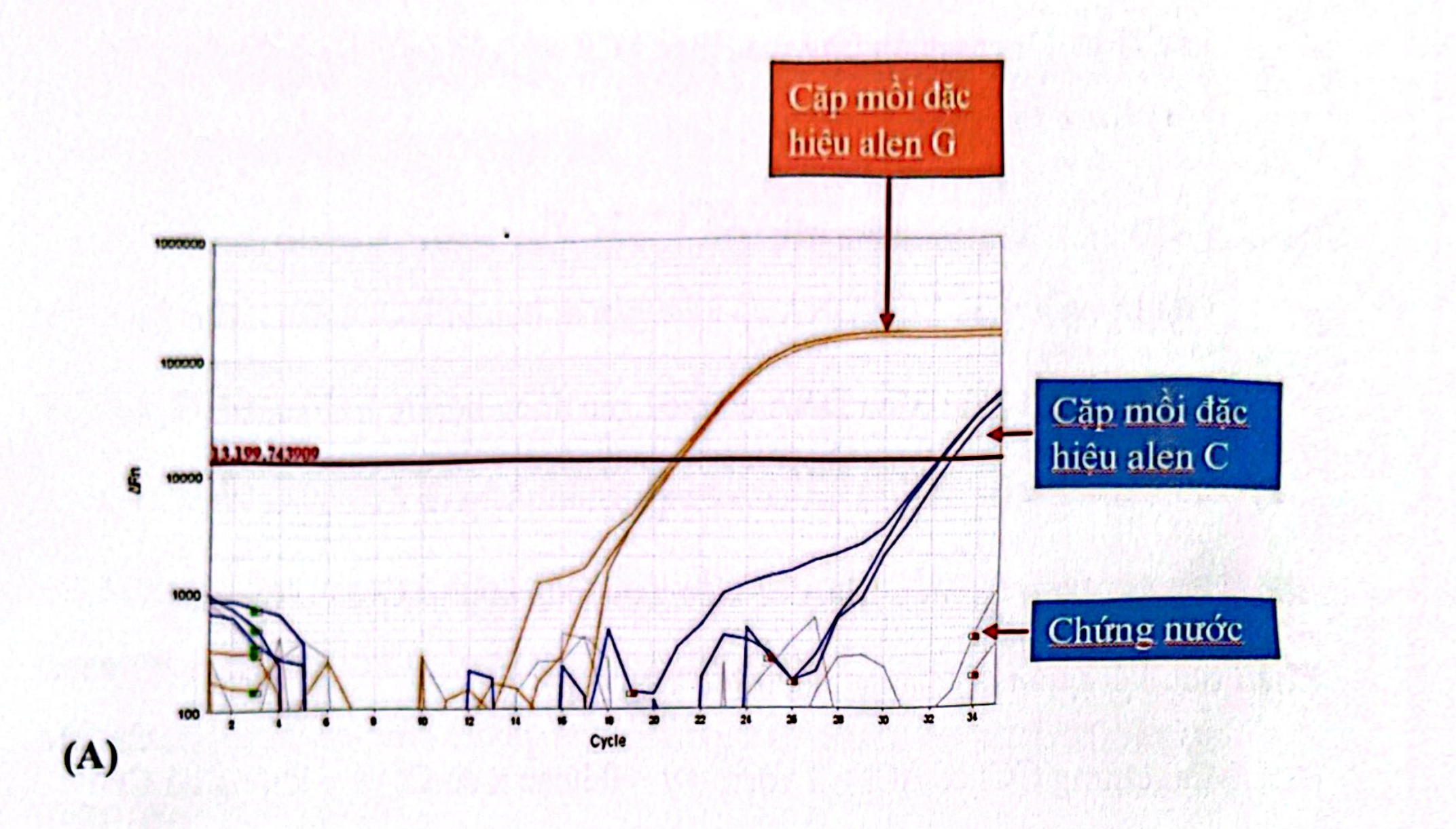 <p>Hình trên cho thấy biểu đồ đường cong khuếch đại của KG nào ?</p><p>A. CC</p><p>B. CG</p><p>C. GG</p><p>D. Không có đáp án nào đúng</p>