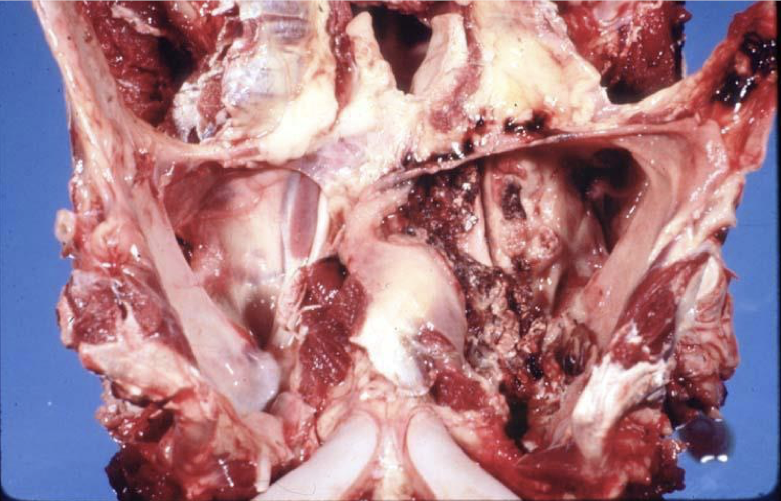 <p>What is this image showing?</p>