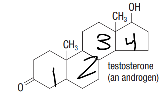 <p>4 hydrocarbon rings</p><ul><li><p>chemical messengers (estrogen, cholesterol, testosterone)</p></li><li><p>anabolic steroids are artificial</p></li></ul><p></p>
