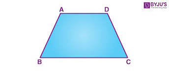 <p>one set of parallel lines</p>