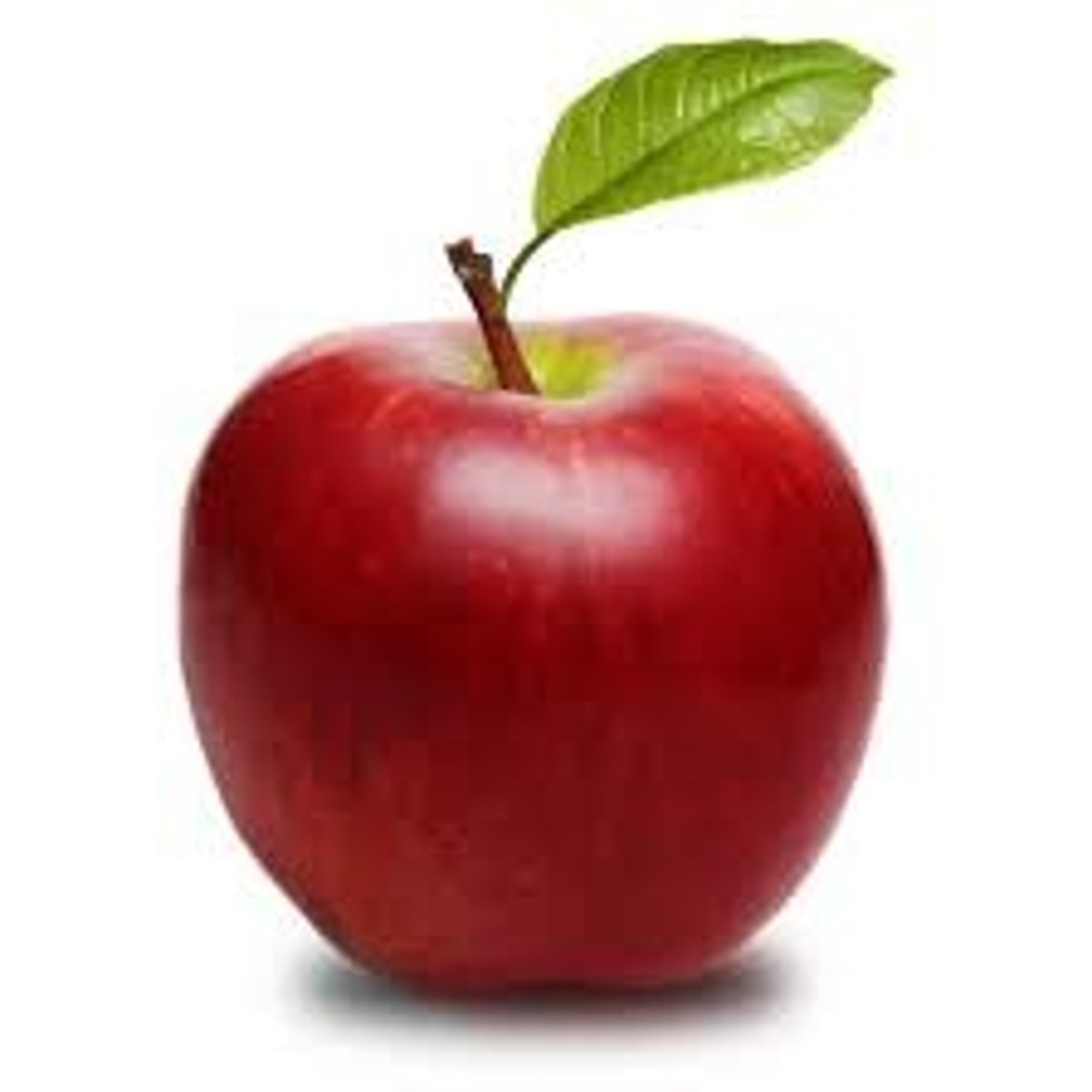<p>red</p><p>(hóng sè)</p>