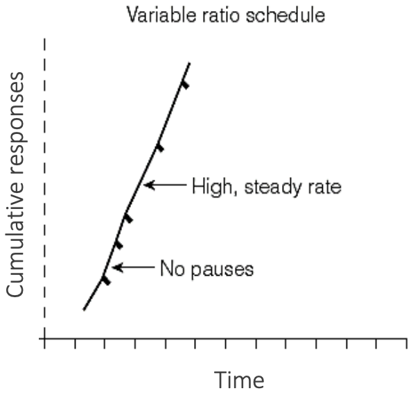 Responses to VR Schedules
