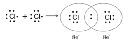 <p>When two atoms share electrons equally</p>