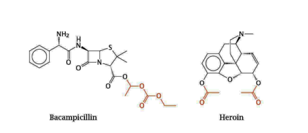 <p>mask the charged groups</p><p>ex. heroin is morphine + 2 ester groups which are cleaved upon entry into the body by esterases, and releases morphine</p><p>ex. the ester groups of bacampicillin can be cleaved to release ampicillin after uptake into the intestinal epithelium</p>