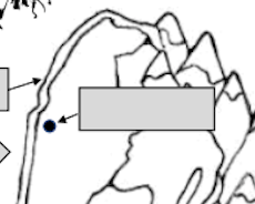 <p>What is the name of this?</p>