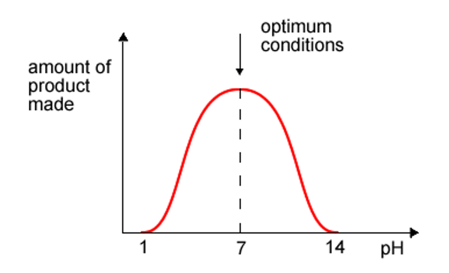 <p>pH value at which enzyme is most active, catalysing the largest number of reactions per second</p>