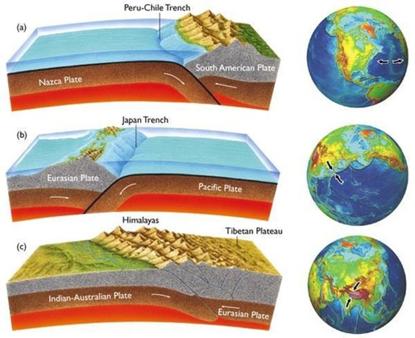 <p>A type of plate boundary where two plates move towards each other.</p>