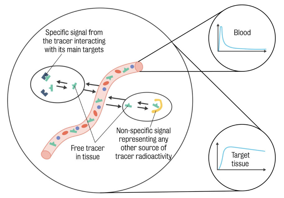 3 sources of activity in volume of tissue