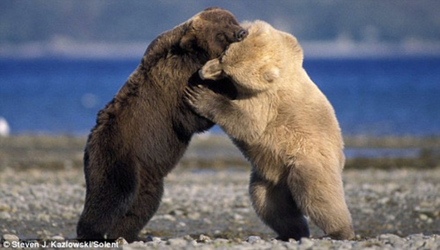 <p>come to terms with; engage in a close fight or struggle without weapons; wrestle</p>