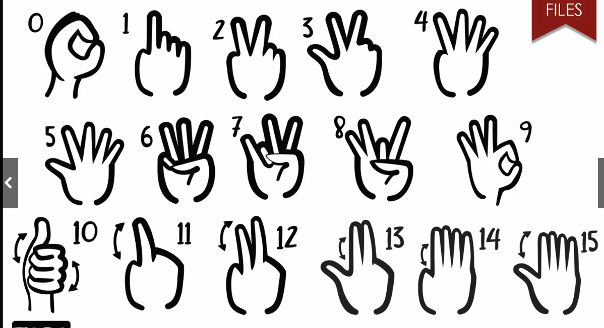 <p>1-5: Palm face inwards</p><p>6-10: palm faces outwards (to the viewer)</p><p>10: shake the ‘thumbs up’ twice</p><p>11-15: palm face inwards</p><p>11, 12, 13,14, 15: bend the fingers twice</p>