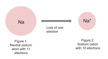 positively charged ions that achieved the stable electron structure on the valence layer by losing one or more electrons
