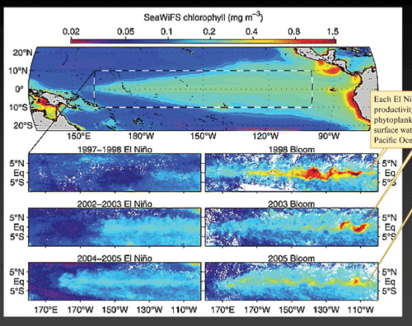 <p>The warm water suppresses upwellings and causes a reduction in nutrients and phytoplankton production, this causes Reproductive failure, starvation, and migration of fish, birds, and other marine animals.</p>