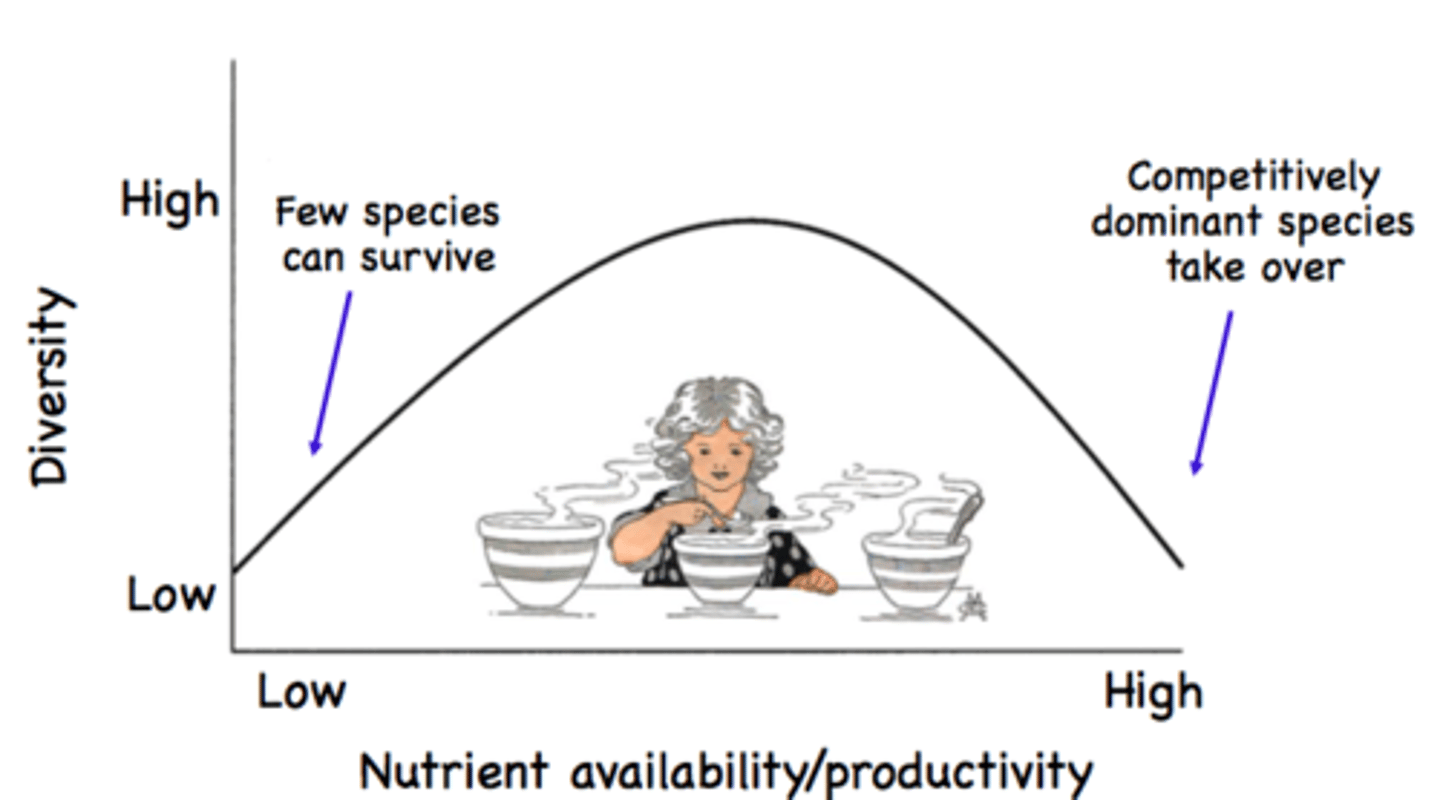 <p>diversity is maximized at intermediate levels of productivity</p>