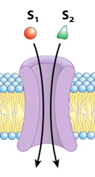 <p>Describe que tipo de transporte mediado se presenta en la imagen</p>