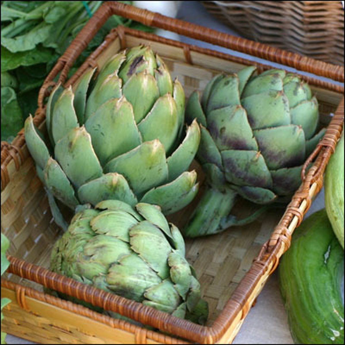 <p>the flower head of a tall herb that resembles a thistle and is cooked as a vegetable.</p>
