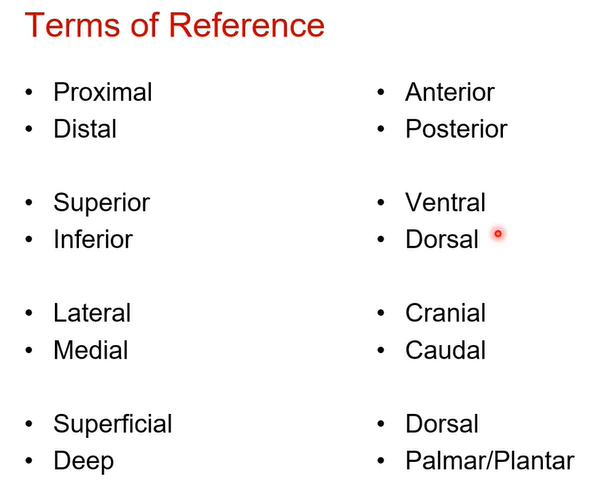 <p>summary of terms that work together: </p>